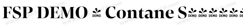FSP DEMO - Contane S字体转换
